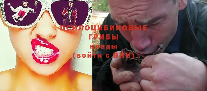 Псилоцибиновые грибы Psilocybine cubensis  мега как зайти  Баймак 